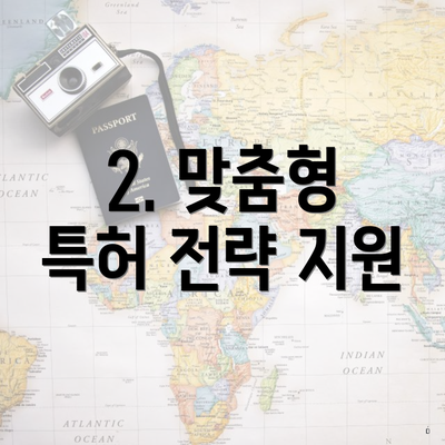 2. 맞춤형 특허 전략 지원