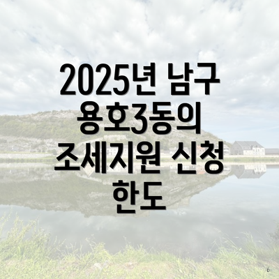 2025년 남구 용호3동의 조세지원 신청 한도