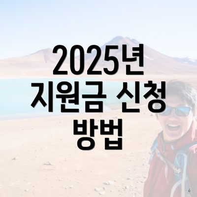 2025년 지원금 신청 방법