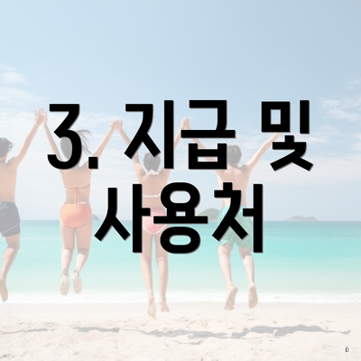 3. 지급 및 사용처