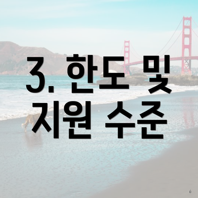 3. 한도 및 지원 수준