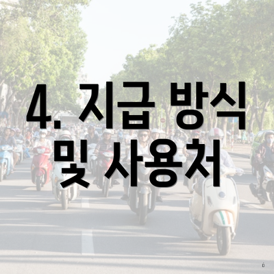 4. 지급 방식 및 사용처