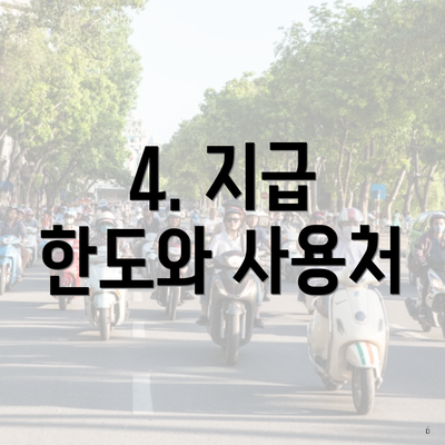 4. 지급 한도와 사용처