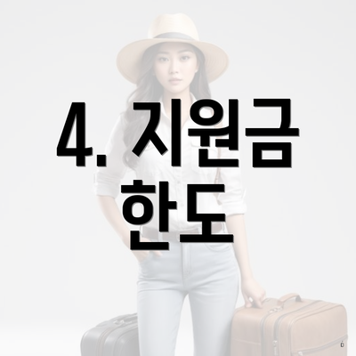 4. 지원금 한도