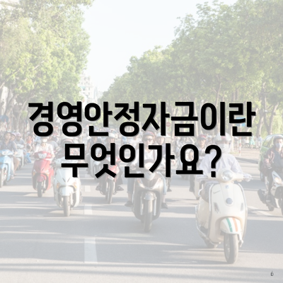 경영안정자금이란 무엇인가요?