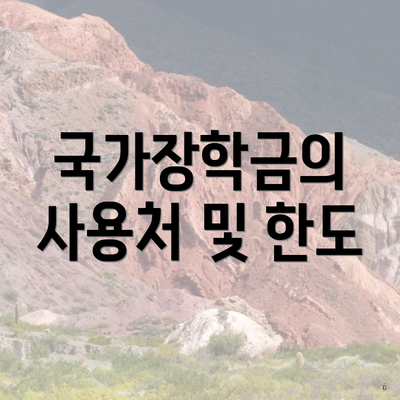 국가장학금의 사용처 및 한도