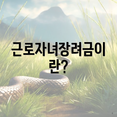 근로자녀장려금이란?
