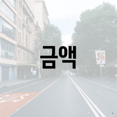 금액