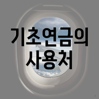 기초연금의 사용처