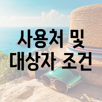 사용처 및 대상자 조건