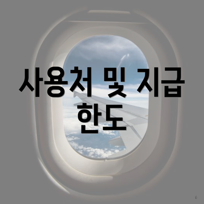 사용처 및 지급 한도