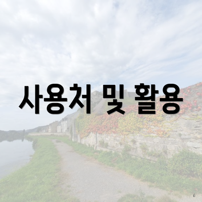 사용처 및 활용