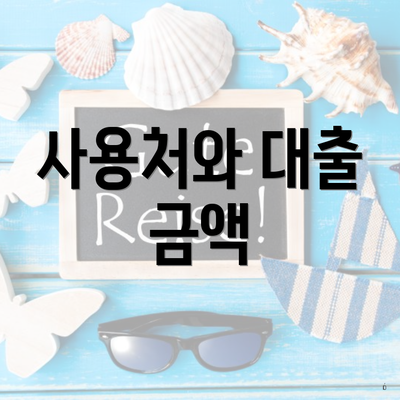 사용처와 대출 금액