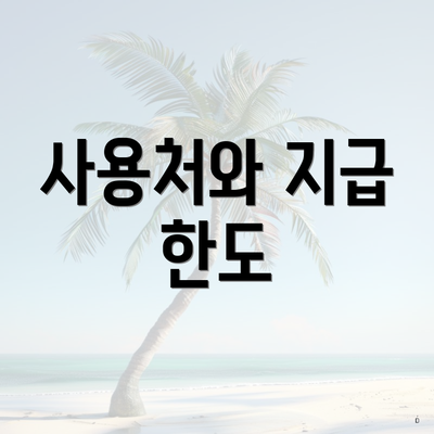 사용처와 지급 한도