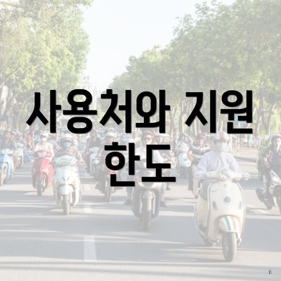 사용처와 지원 한도
