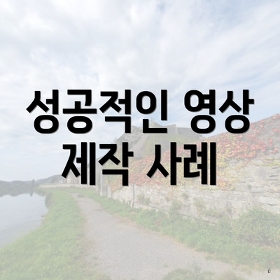 성공적인 영상 제작 사례