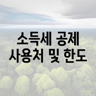 소득세 공제 사용처 및 한도