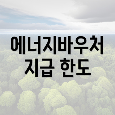 에너지바우처 지급 한도