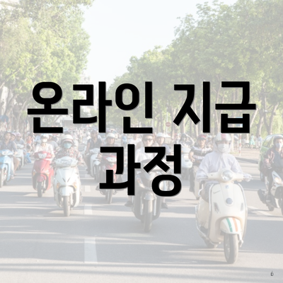 온라인 지급 과정