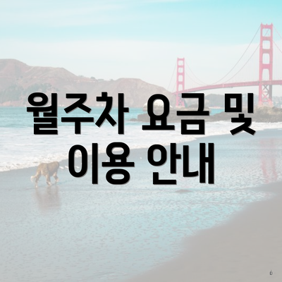 월주차 요금 및 이용 안내