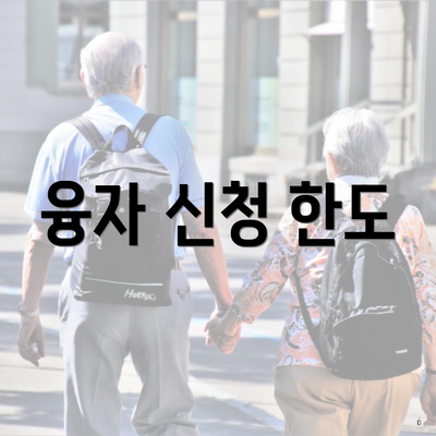 융자 신청 한도