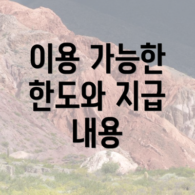 이용 가능한 한도와 지급 내용