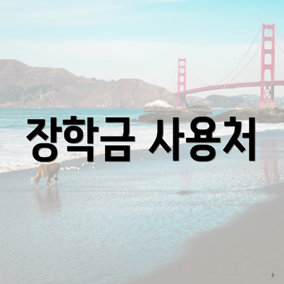 장학금 사용처