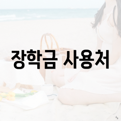 장학금 사용처
