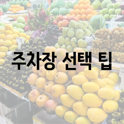 주차장 선택 팁