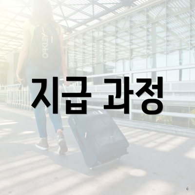 지급 과정