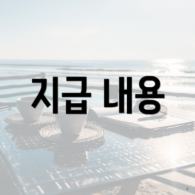 지급 내용