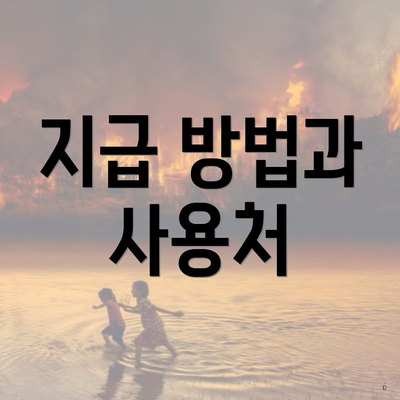 지급 방법과 사용처