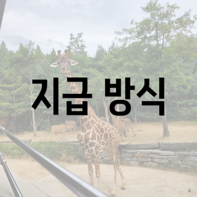 지급 방식