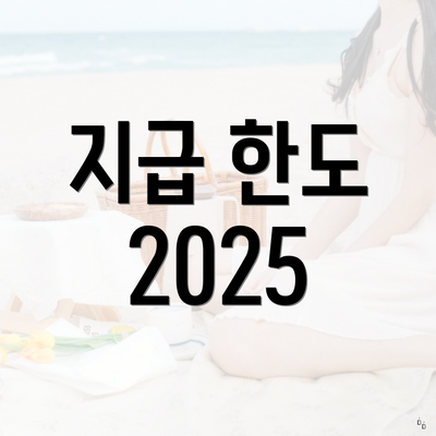 지급 한도 2025