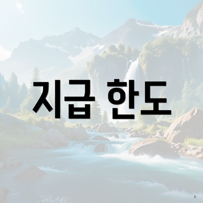 지급 한도