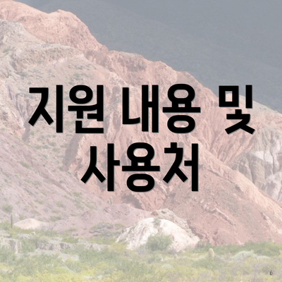 지원 내용 및 사용처