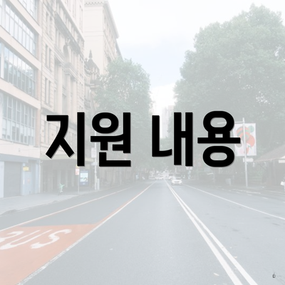 지원 내용