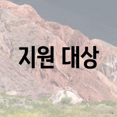 지원 대상