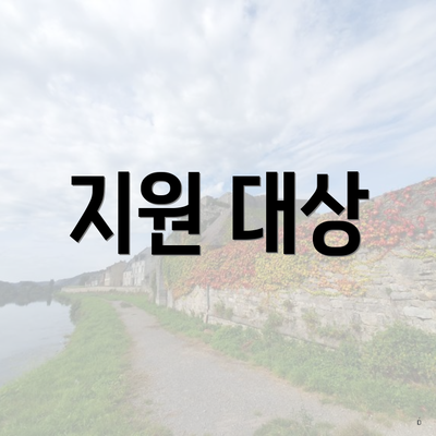 지원 대상