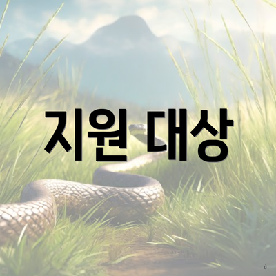 지원 대상