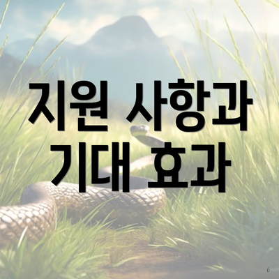 지원 사항과 기대 효과