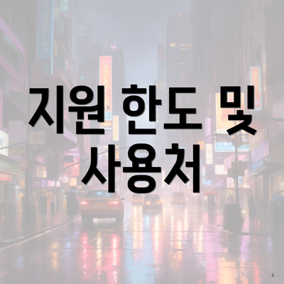 지원 한도 및 사용처