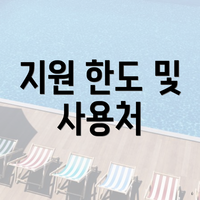 지원 한도 및 사용처