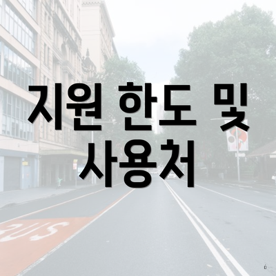 지원 한도 및 사용처