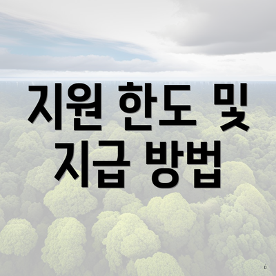 지원 한도 및 지급 방법