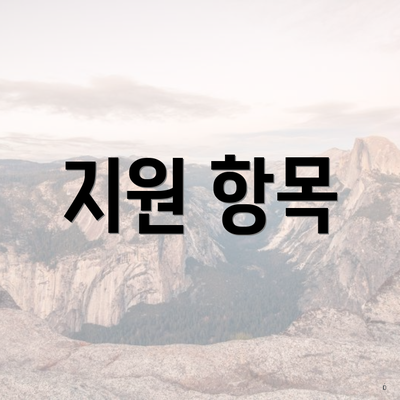 지원 항목