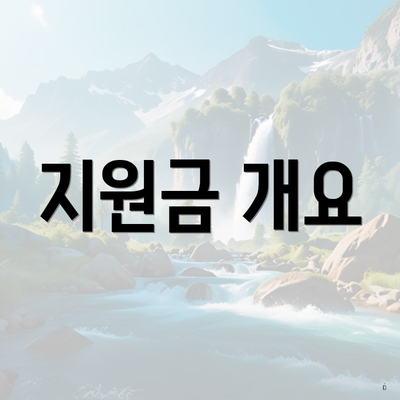 지원금 개요