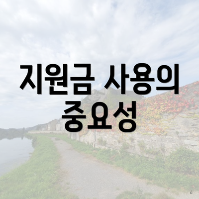 지원금 사용의 중요성