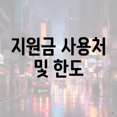 지원금 사용처 및 한도