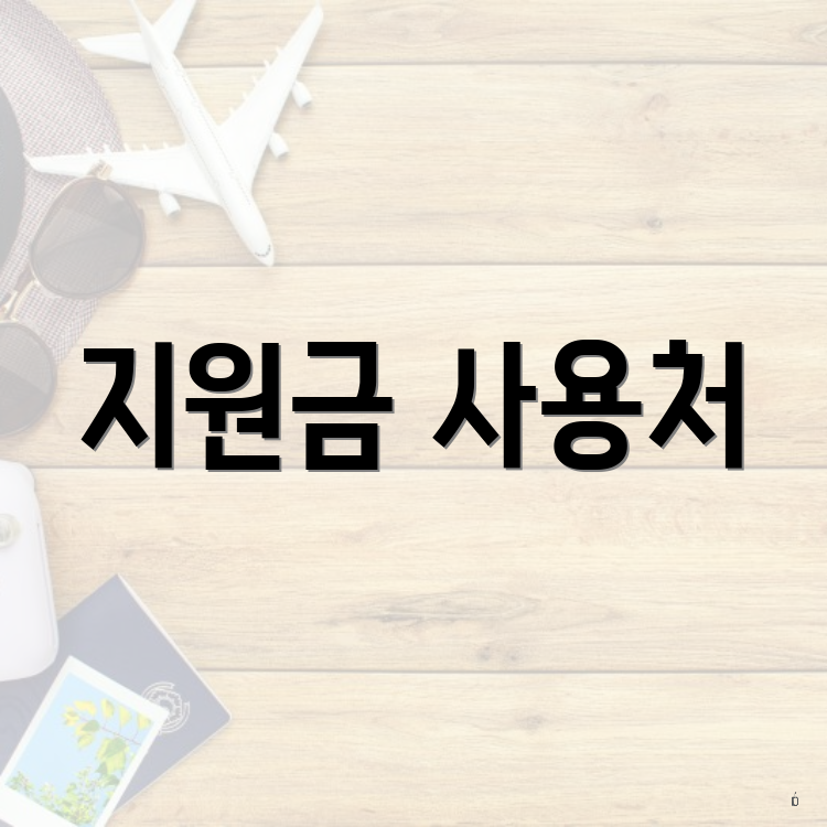 지원금 사용처